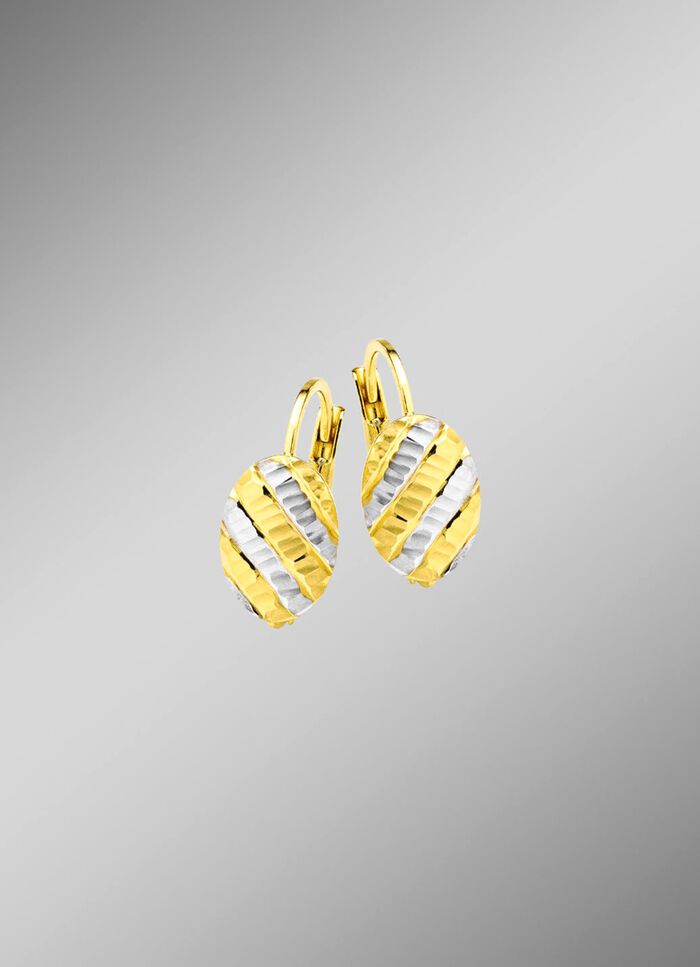 Elegantie in elk detail: bicolor oorbellen van 375/- fijn goud 