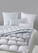 Ganzendonskussenprogramma van Sannwald 