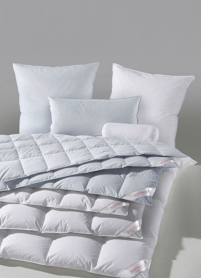 Ganzendonskussenprogramma van Sannwald 