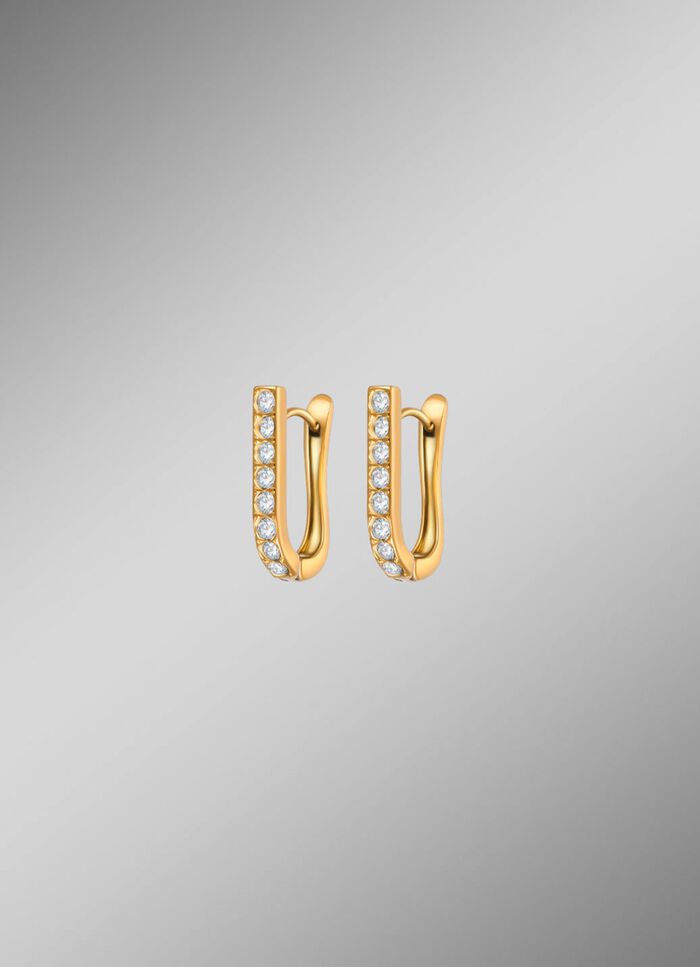 Stijlvolle roestvrijstalen creolen met kristallen 