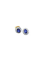 Oorbellen met diamant en saffier 