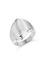 Elegantie in zilver: Damesring met een glanzende en satijnen afwerking 