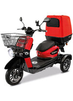 Rolektro - De e-scooter 