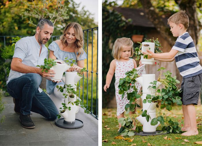 Sissi Aardbeienplantsysteem 