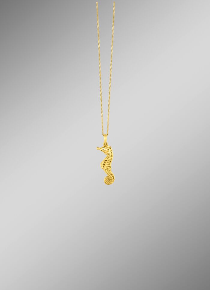Zeepaardje hanger met structuur 