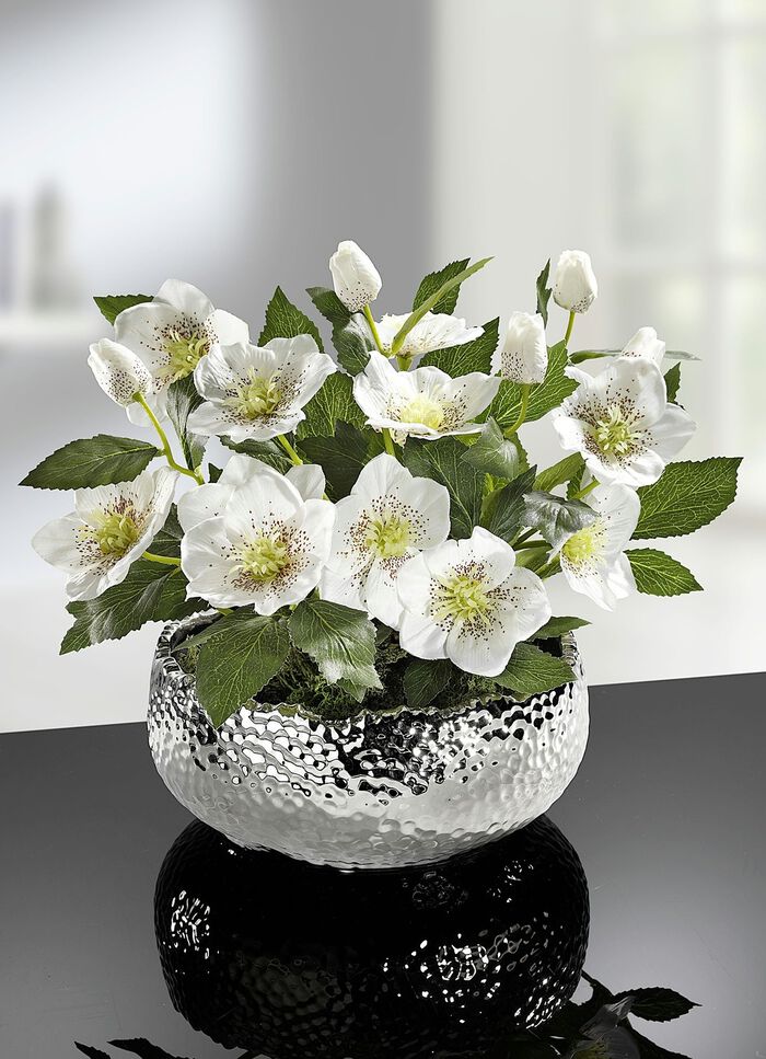 Kerstrozen in schaal in verschillende kleuren 