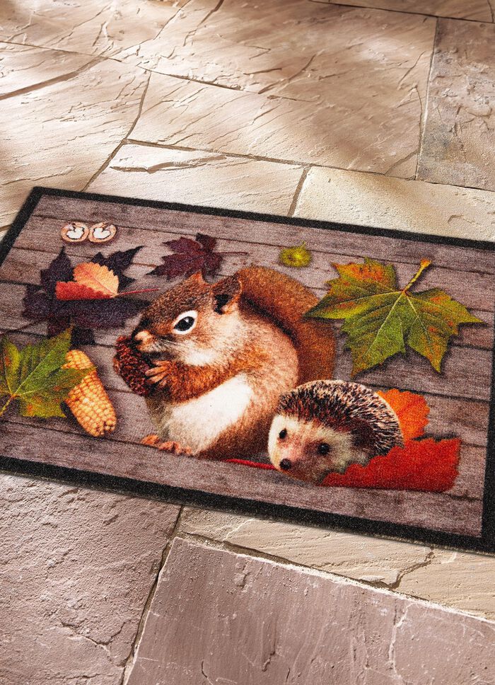 Deurmat met antisliprug 