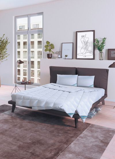 Downprogramma Antarctica vanuit Spessarttraum 