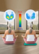 Dreamolino Softsitter zitkussen 