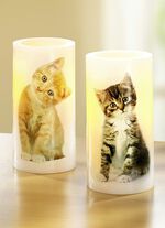 LED-kaarsen, set van 2, met kattenmotieven 