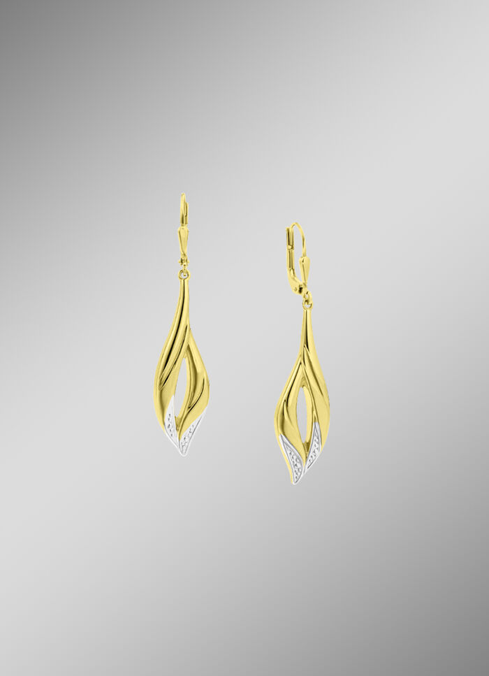 Beweegbare, glanzende oorbellen in tweekleurig 