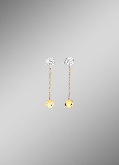 Prachtige oorbellen in twee kleuren 