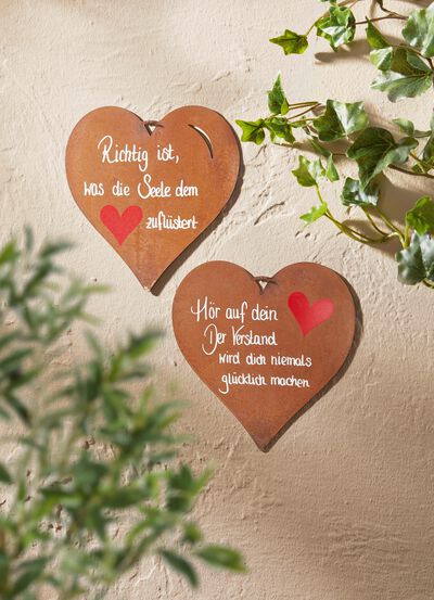 Decoratieve borden van verroest plaatstaal 