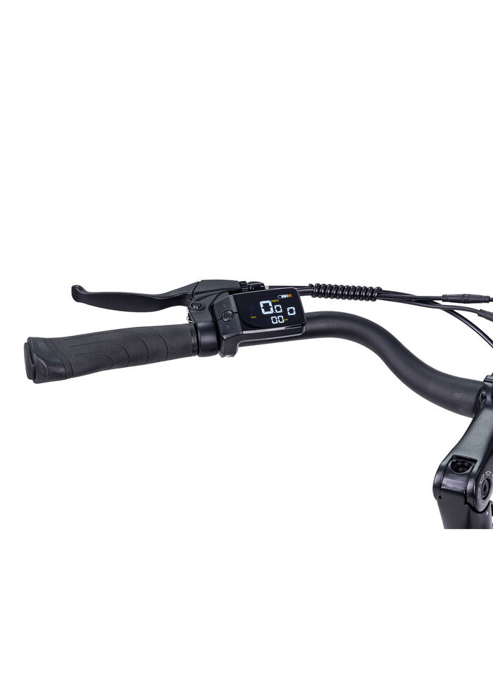 E-bike Comfort Plus 5.0 van Saxonette 