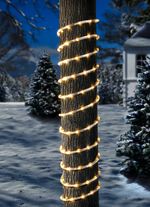 Lichtslang, 6m, rood-wit TRANSPARANT