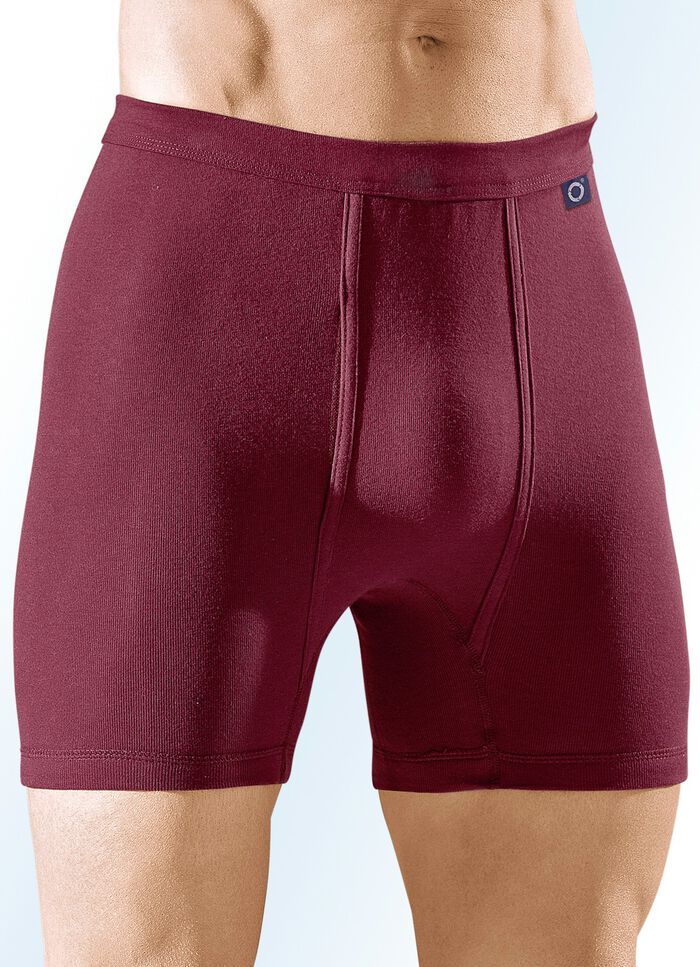 Pfeilring set van vier onderbroeken van fijne ribstof, effen meerkleurig 