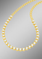 Exclusieve Diamond Collie 