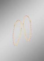 Glamoureuze oorhaken met diamanten 