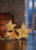 Ster met lichtslingers 