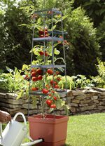 MAXITOM tomatenklimrek, complete set 