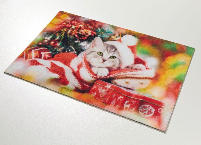 Kitten deurmat met antislip achterkant 