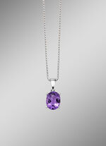 Hanger met Venezia ketting 