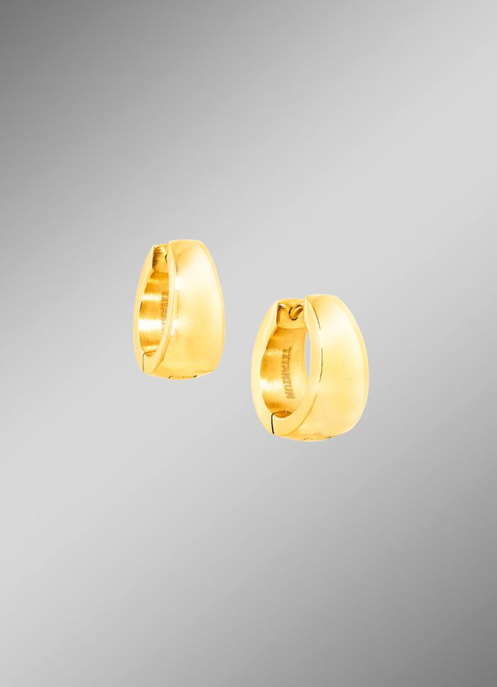 Stijlvolle klapcreolen in hoogglans 