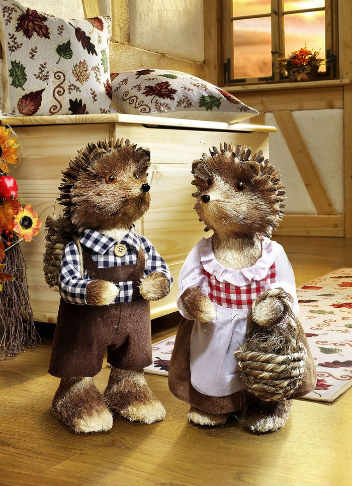 Egels in verschillende uitvoeringen BRUIN