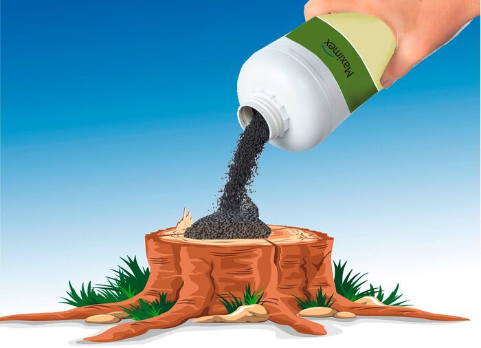 Wortelweg-granulaat van Maximex 