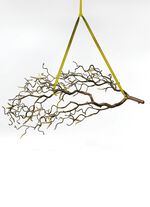 Hazelnoottak van hoogwaardig kunststof 