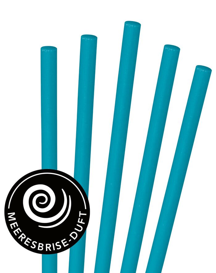 Drain Cleaner Sticks - houd uw afvoer vrij van aanslag en onaangename geuren BLAUW