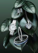 Elastische armband van roestvrij staal met zwarte kristallen 