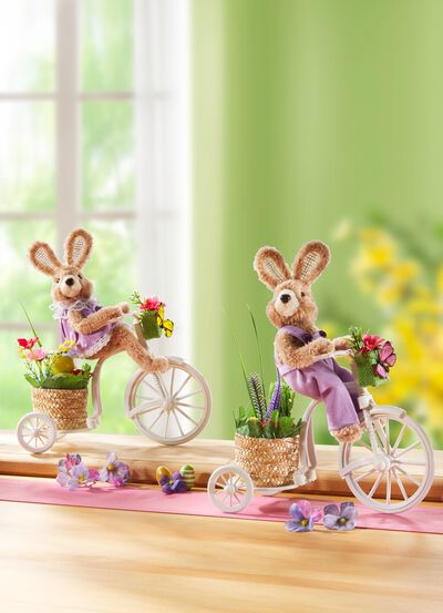 Konijntje op de fiets 