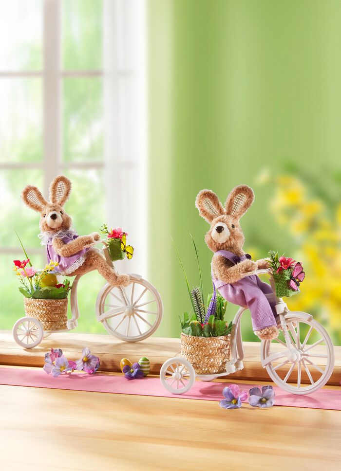 Konijntje op de fiets 