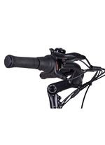 E-bike Comfort Plus 5.0 van Saxonette 