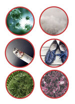 Luchtreiniger met HEPA-actiefkoolfilter 