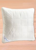 Huidvriendelijk beddengoedassortiment met hoogwaardige vulling van 100% zijde 