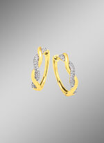 Prachtige oorringen met 60 diamanten 