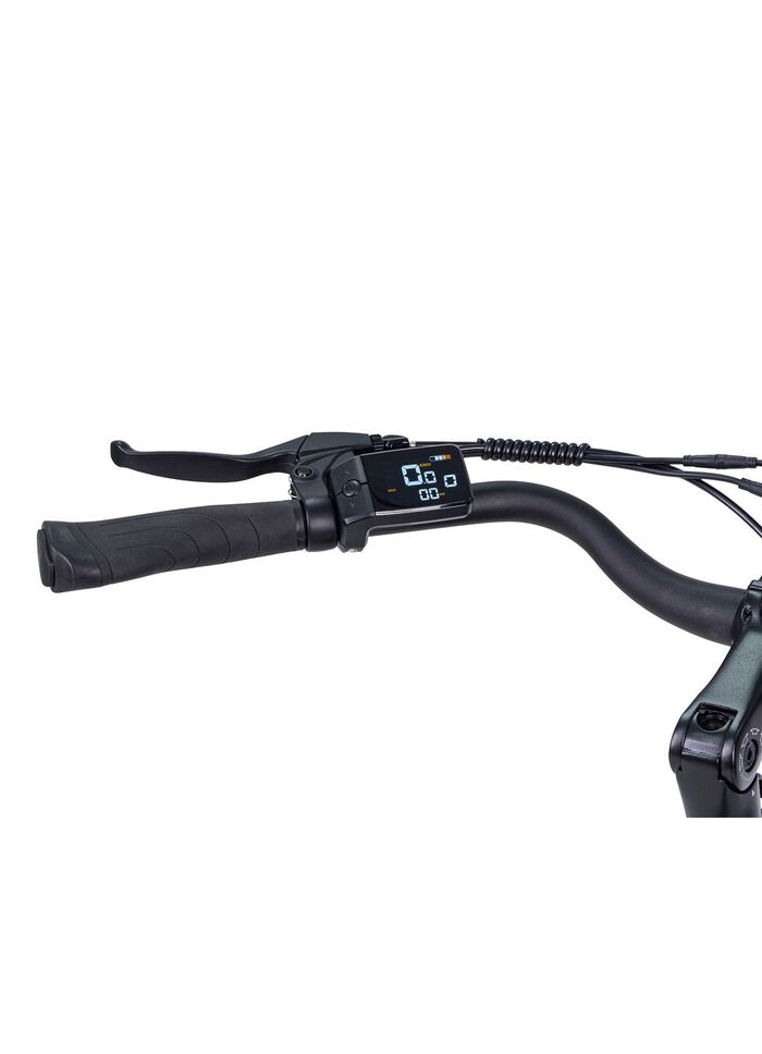 E-bike Comfort Plus 5.0 van Saxonette 
