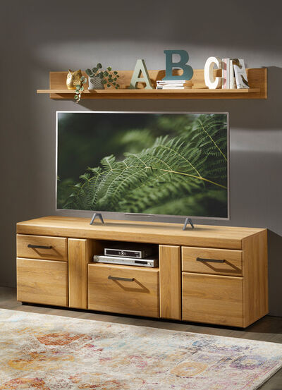 TV-longboard met wandplank 