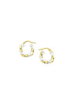 Tweekleurige oorringen met diamantcoating 