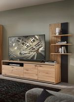 TV longboard met wandpaneel 