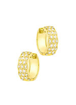 Chique oorringen met 44 diamanten 