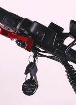 Maximus E-Cruiser - Het milieuvriendelijke alternatief voor de motorfiets 