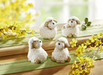 Deco Schapen, Set van 4 