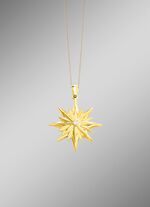 Grote sterhanger met briljant geslepen diamanten 