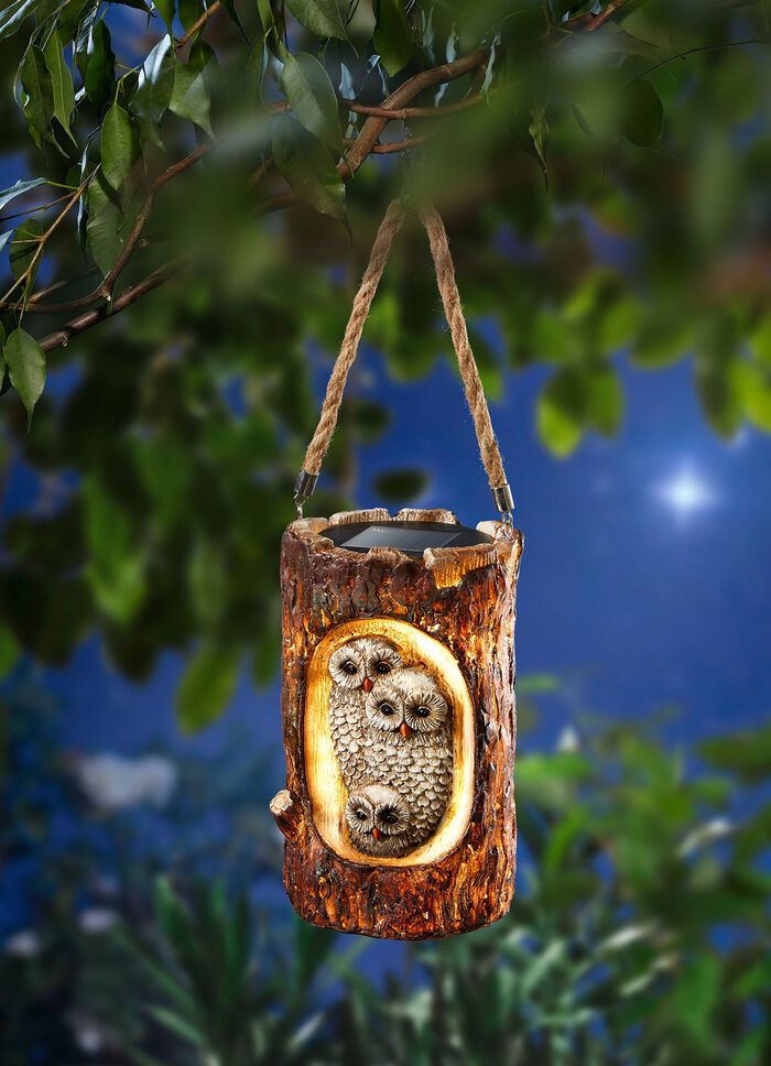 Zonne-hanger uilen 