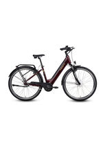 E-bike Comfort Plus 5.0 van Saxonette 