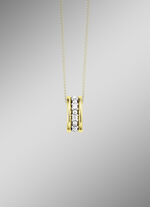 Prachtige hanger met diamanten 