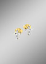 Populaire oorbellen met 2 diamanten 